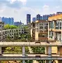 西南财经大学本科毕业要求