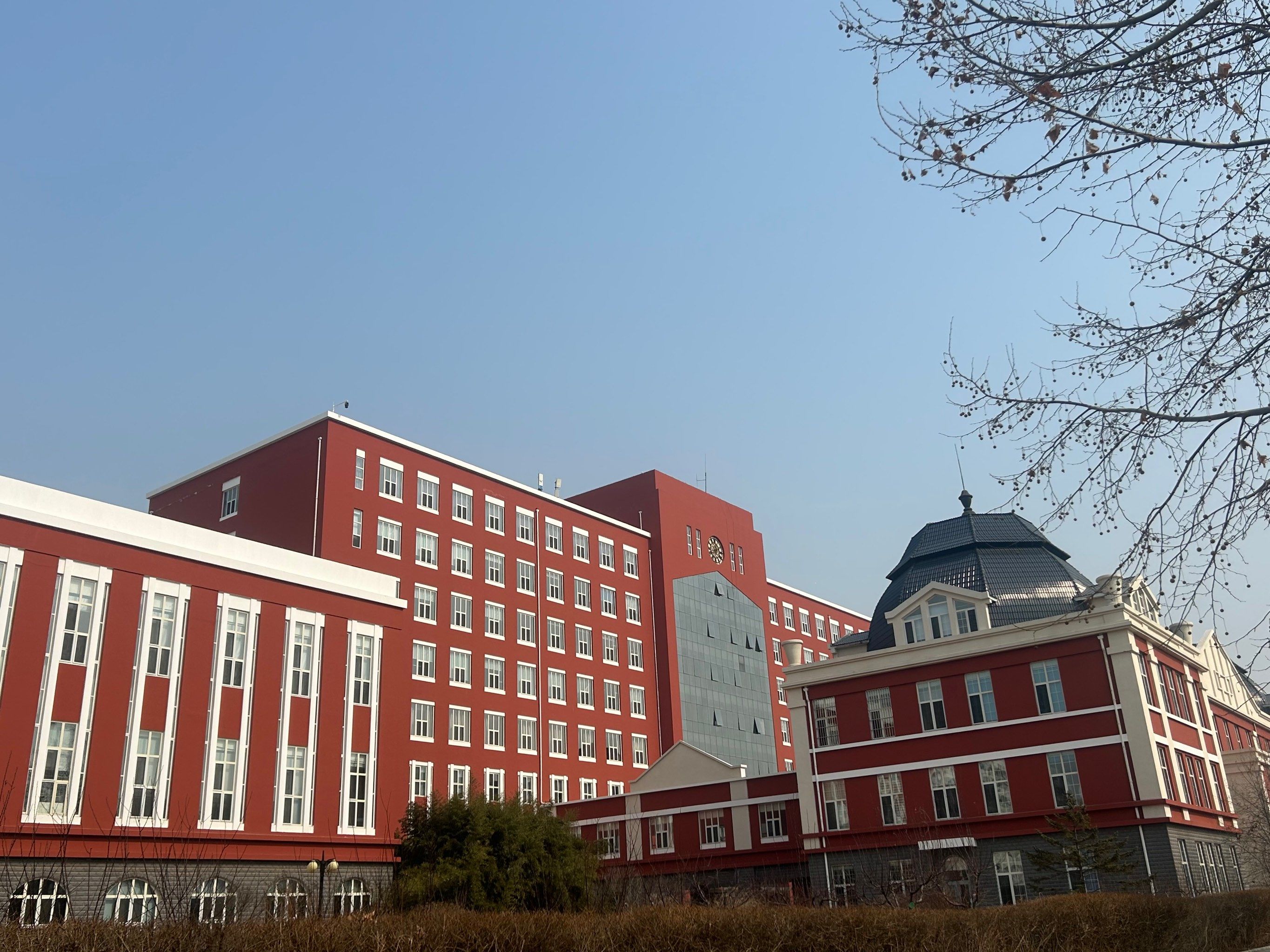 东北大学秦皇岛分校