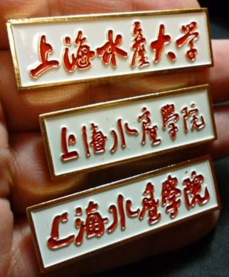 上海大学毕业条件