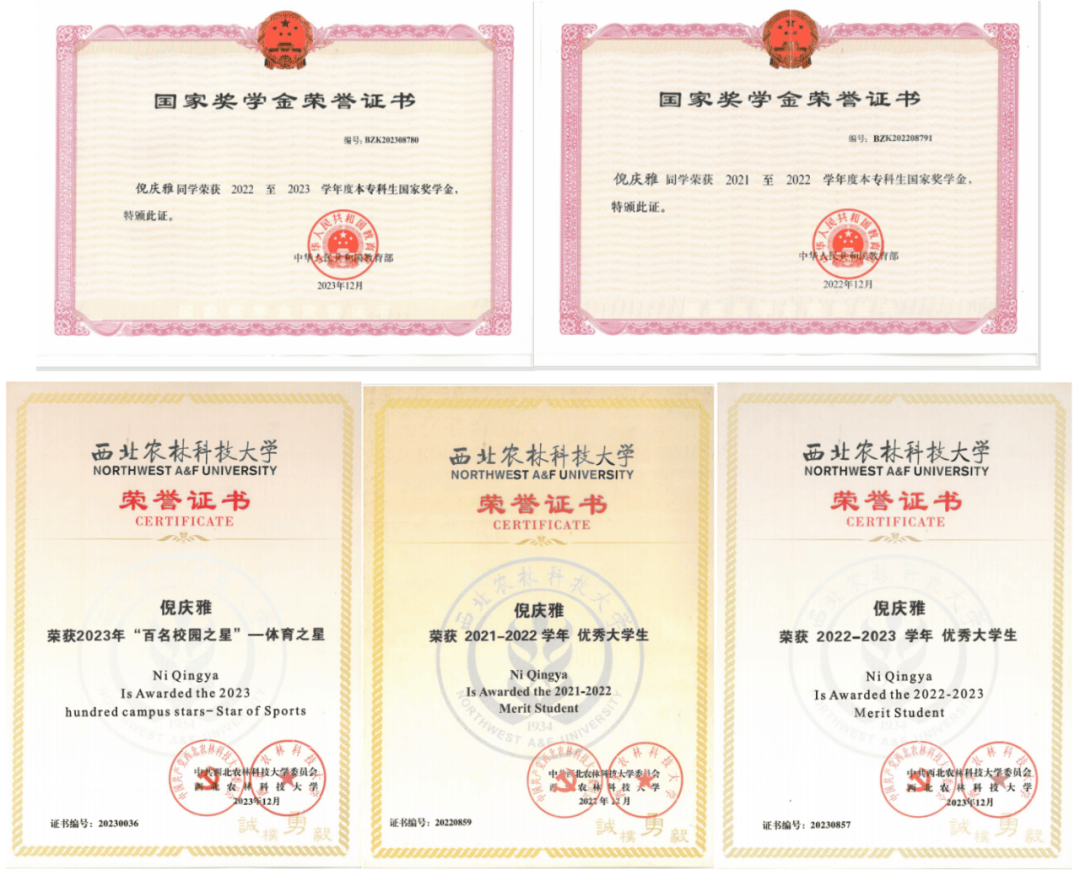 哈尔滨工程大学怎么